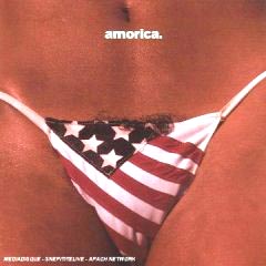 Black Crowes, The - 1994 - Amorica